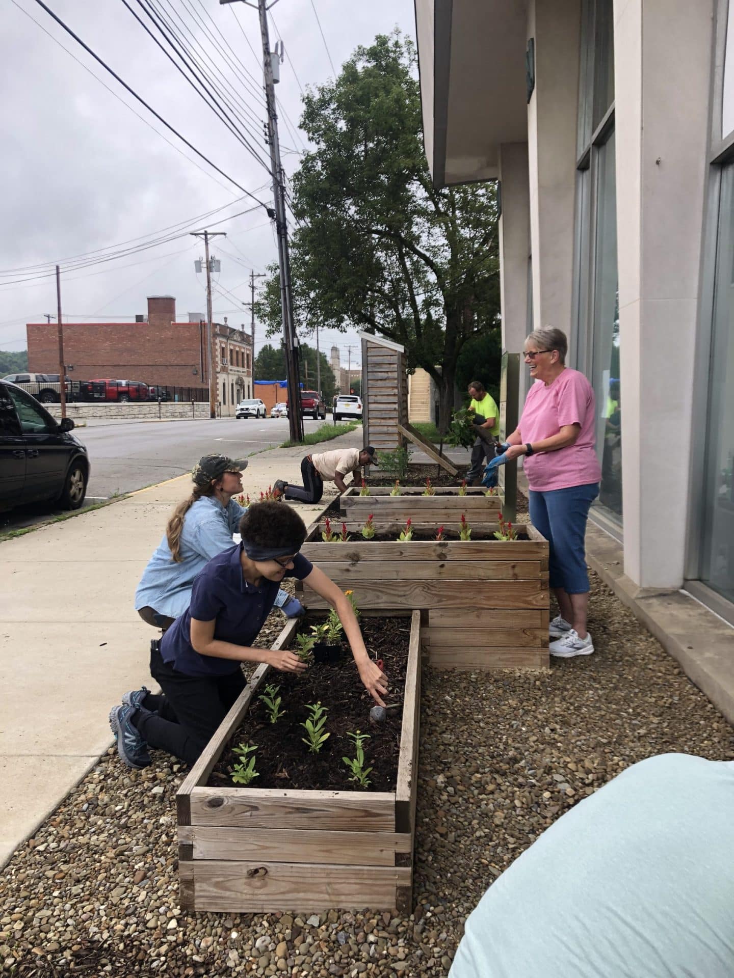 Gardening volunteer opportunity near me | Neighborhood North