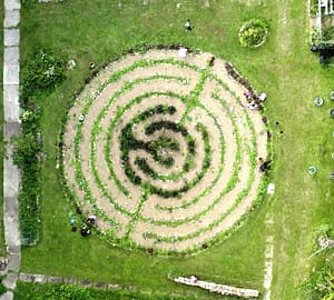 Aerial of garden