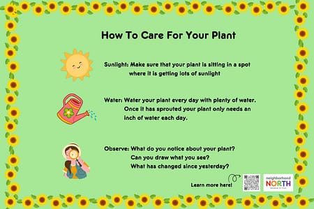 How to Care for Your Plant